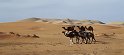 mar04_2_032 pano